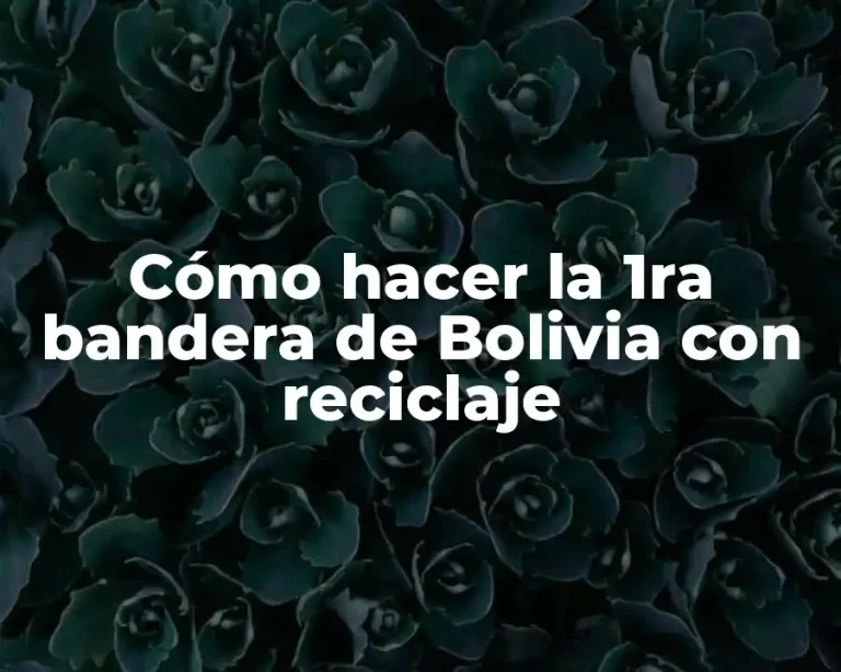 Cómo hacer la 1ra bandera de Bolivia con reciclaje