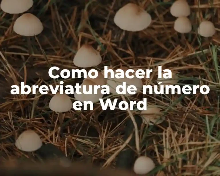Como hacer la abreviatura de número en Word