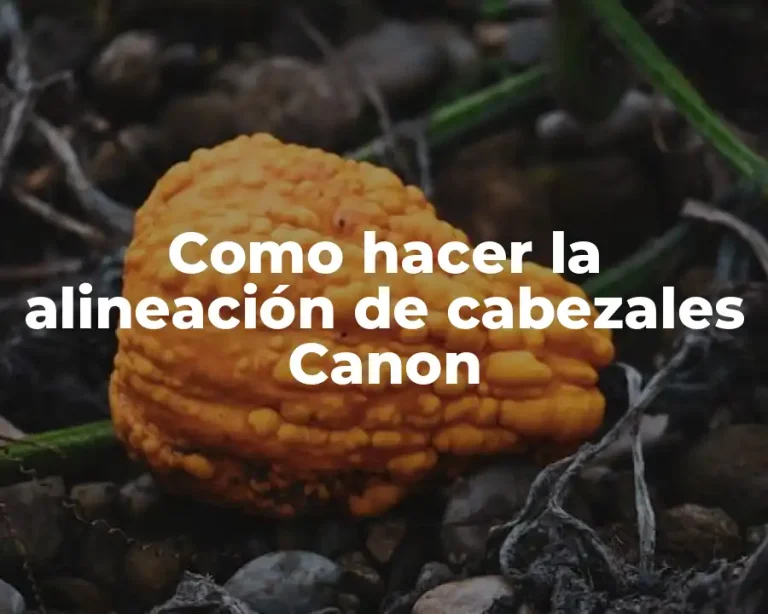 Como hacer la alineación de cabezales Canon