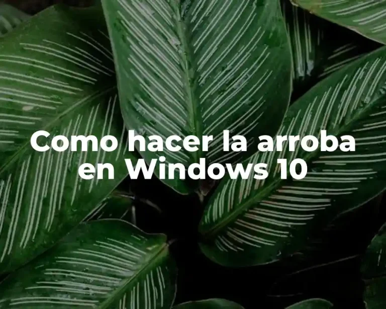 Como hacer la arroba en Windows 10