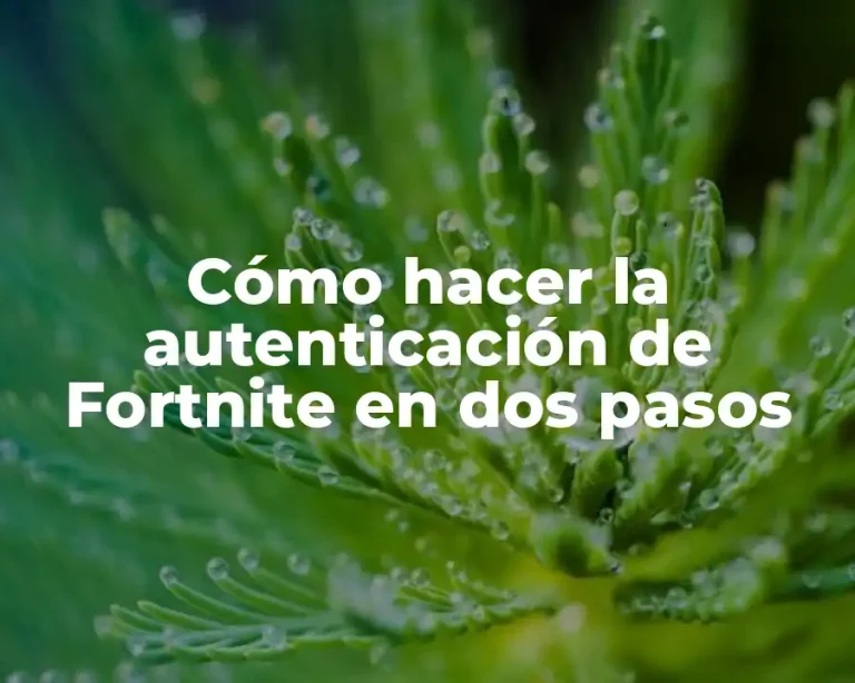 Cómo hacer la autenticación de Fortnite en dos pasos