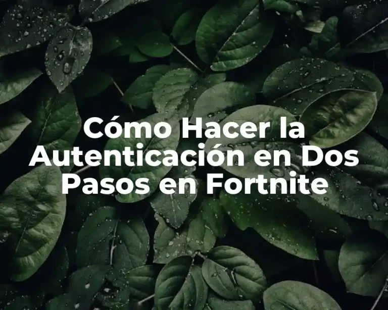 Cómo Hacer la Autenticación en Dos Pasos en Fortnite