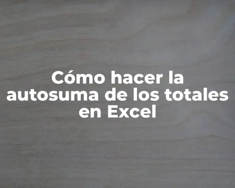Cómo hacer la autosuma de los totales en Excel