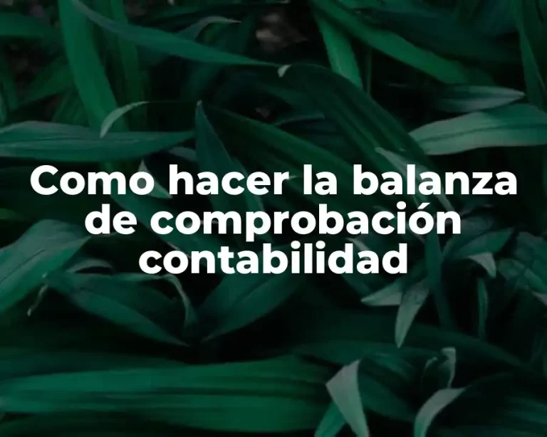 Como hacer la balanza de comprobación contabilidad