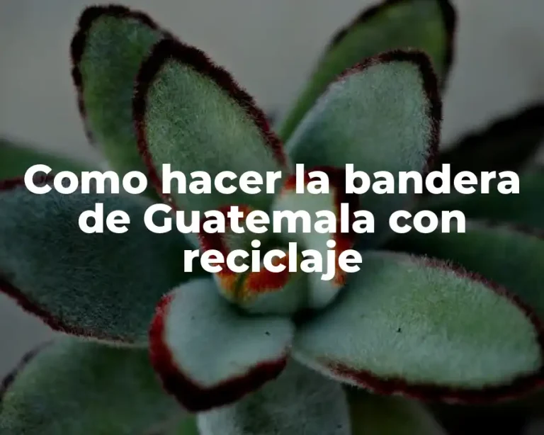 Como hacer la bandera de Guatemala con reciclaje