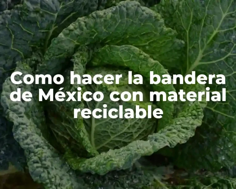 Como hacer la bandera de México con material reciclable
