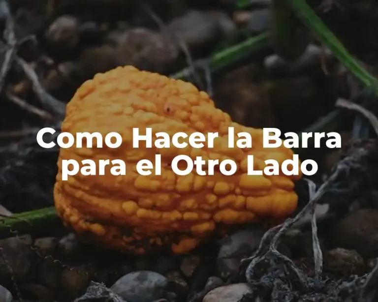 Como Hacer la Barra para el Otro Lado