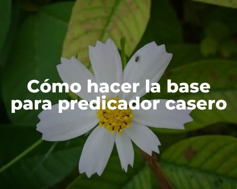 Cómo hacer la base para predicador casero