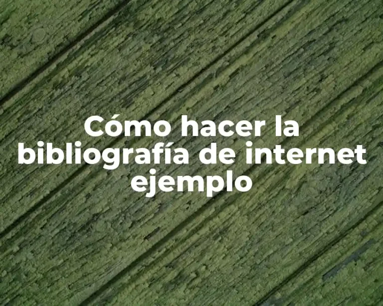 Cómo hacer la bibliografía de internet ejemplo