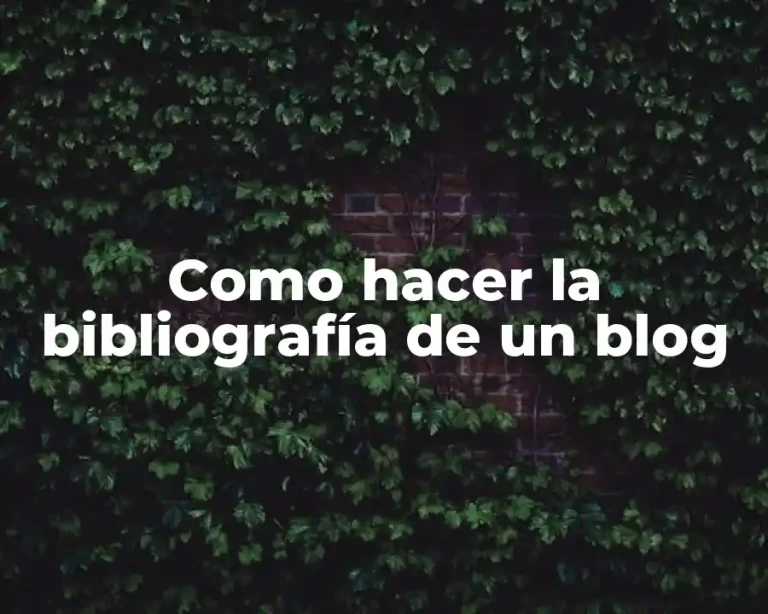Como hacer la bibliografía de un blog