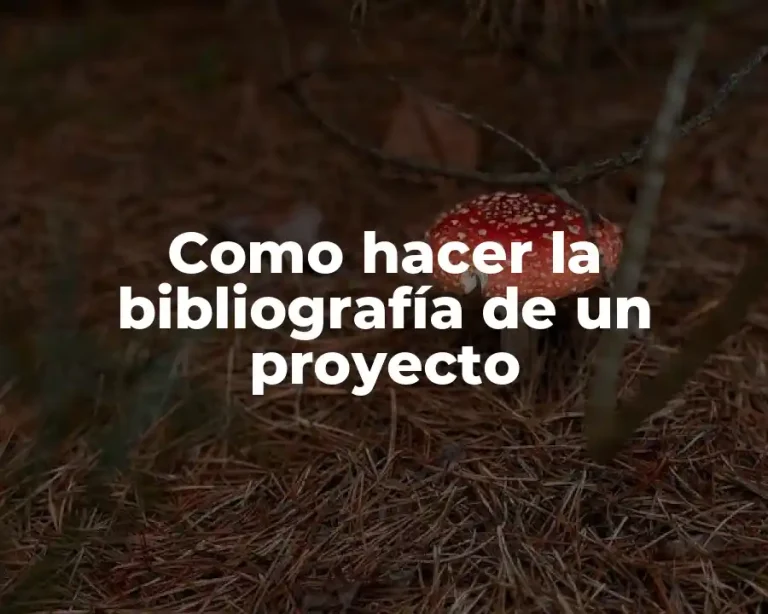 Como hacer la bibliografía de un proyecto