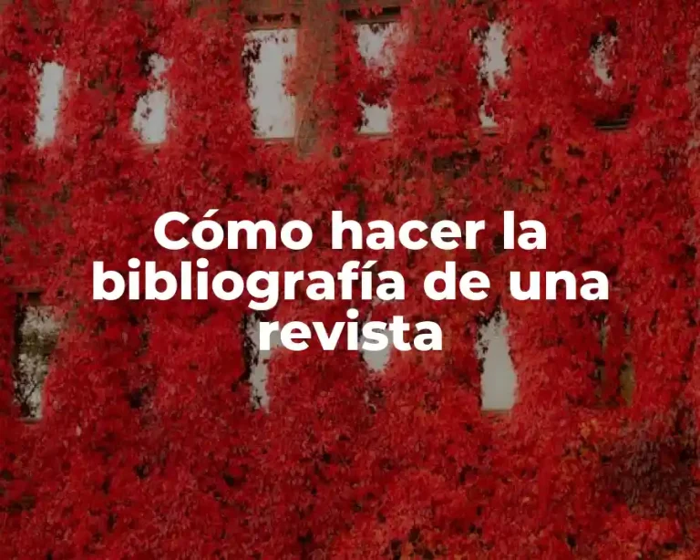 Cómo hacer la bibliografía de una revista