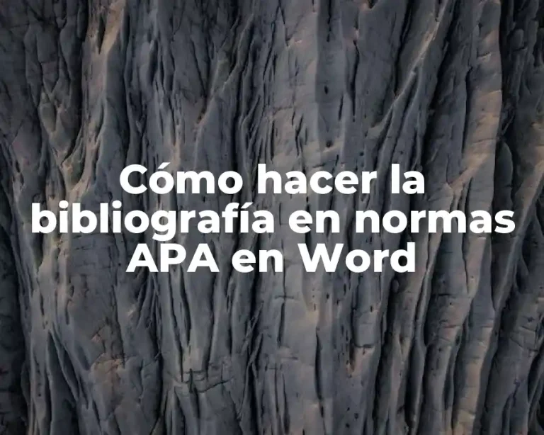 Cómo hacer la bibliografía en normas APA en Word