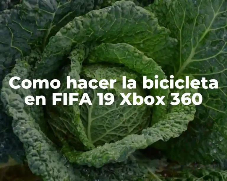 Como hacer la bicicleta en FIFA 19 Xbox 360