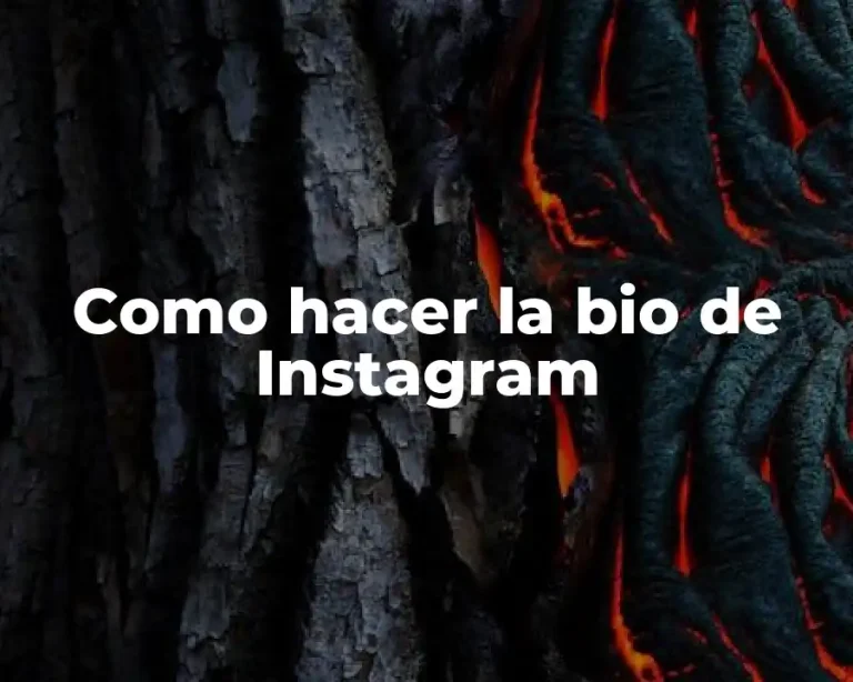 Como hacer la bio de Instagram