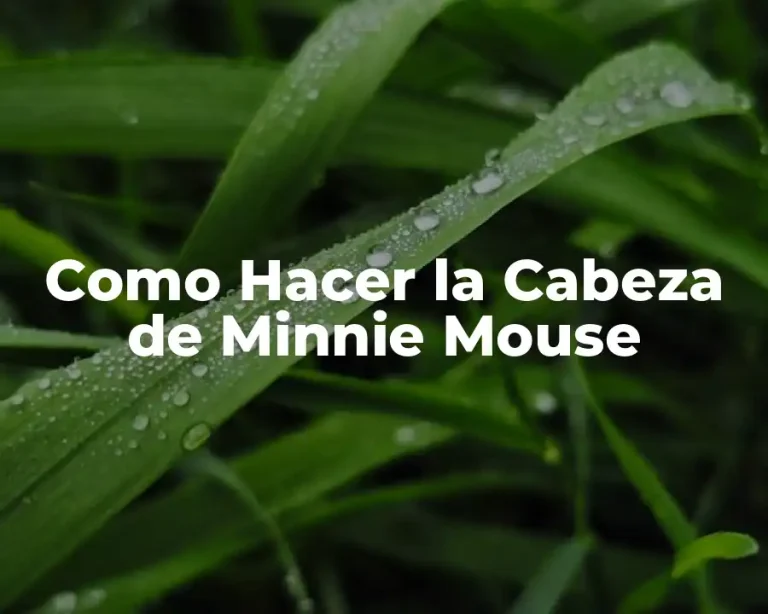 Como Hacer la Cabeza de Minnie Mouse
