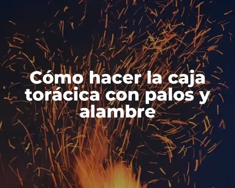 Cómo hacer la caja torácica con palos y alambre
