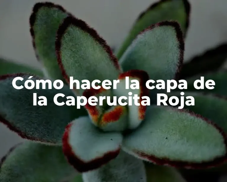 Cómo hacer la capa de la Caperucita Roja