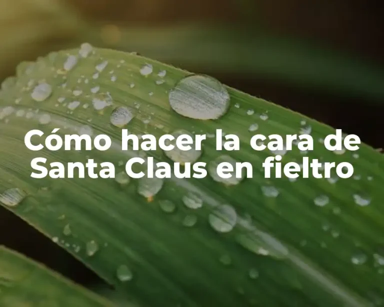 Cómo hacer la cara de Santa Claus en fieltro