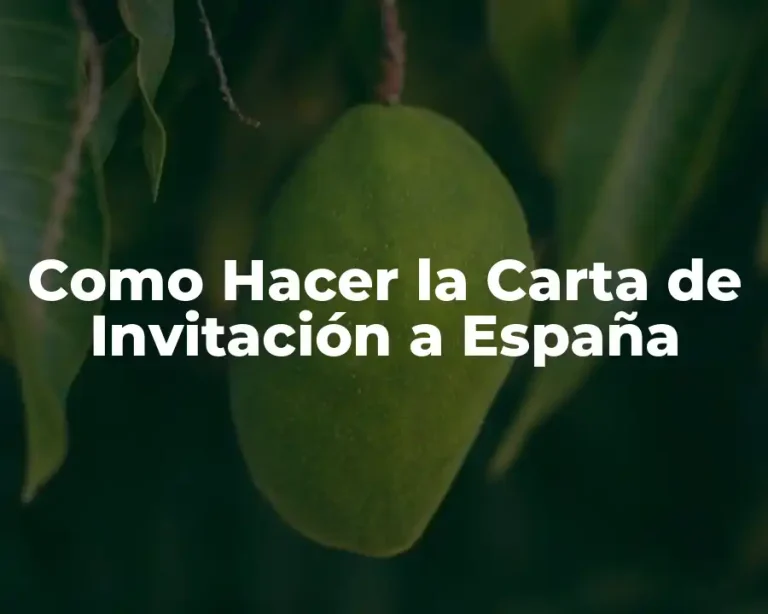 Como Hacer la Carta de Invitación a España