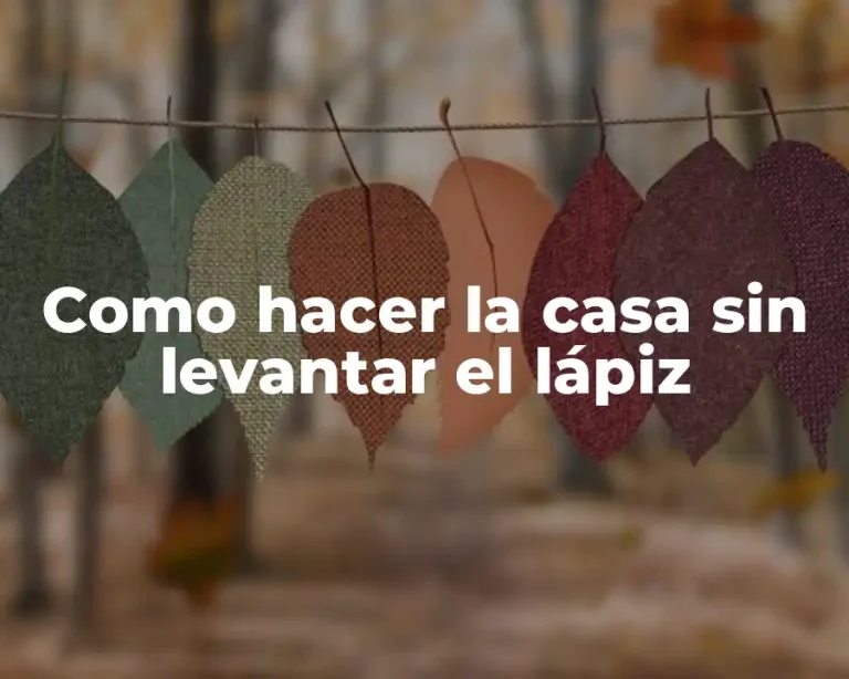 Como hacer la casa sin levantar el lápiz