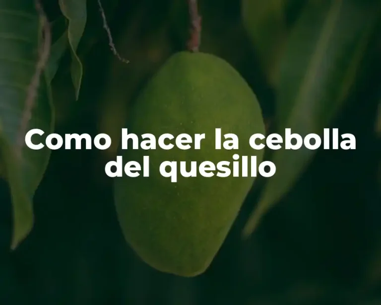 Como hacer la cebolla del quesillo