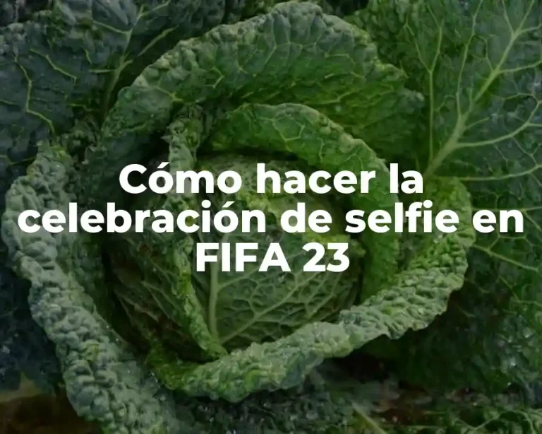 Cómo hacer la celebración de selfie en FIFA 23
