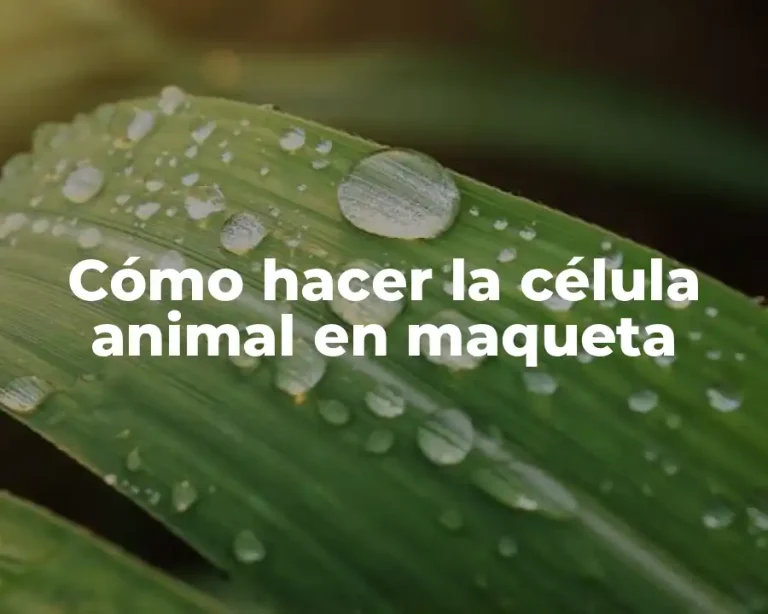Cómo hacer la célula animal en maqueta
