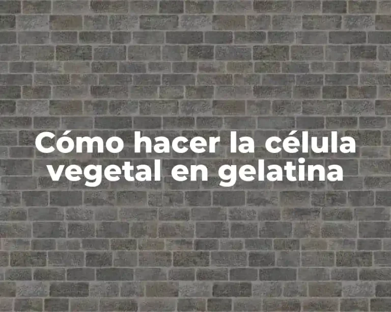 Cómo hacer la célula vegetal en gelatina