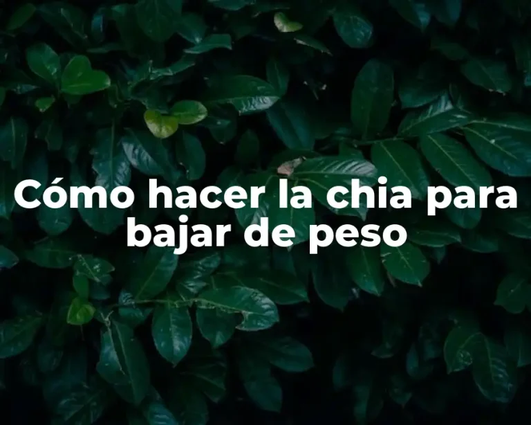 Cómo hacer la chia para bajar de peso