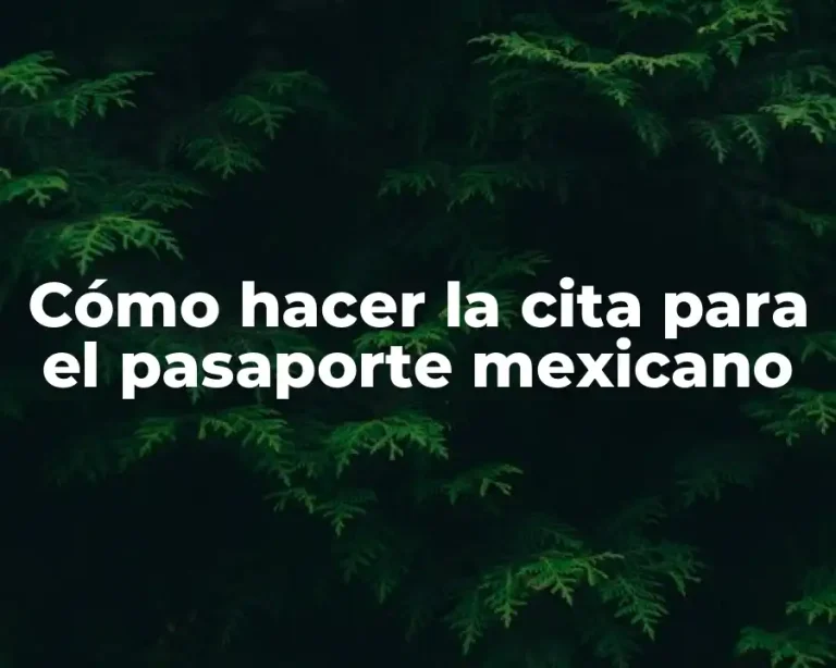 Cómo hacer la cita para el pasaporte mexicano