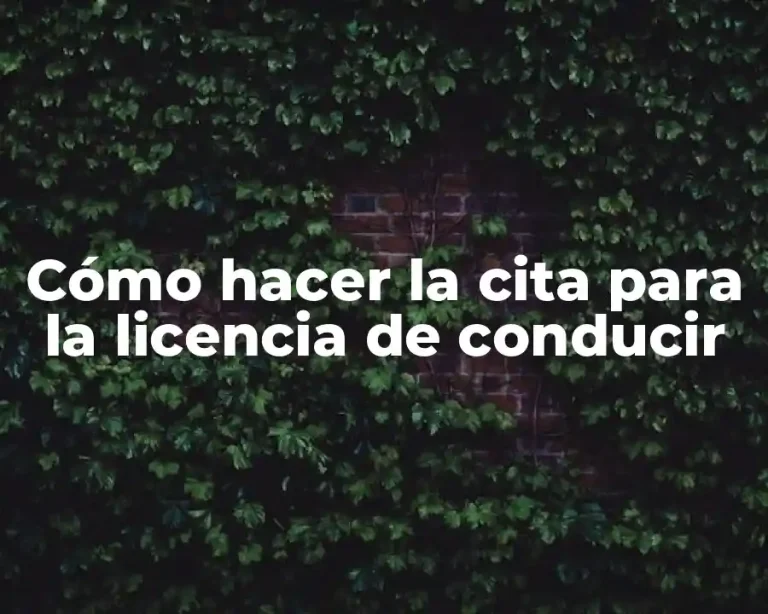Cómo hacer la cita para la licencia de conducir