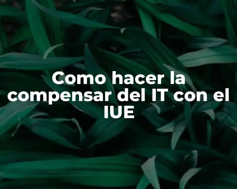 Como hacer la compensar del IT con el IUE