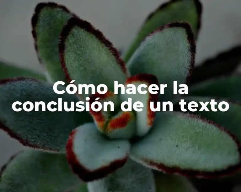 Cómo hacer la conclusión de un texto