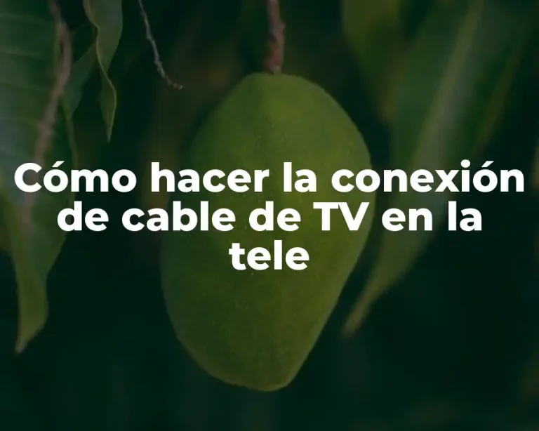 Cómo hacer la conexión de cable de TV en la tele
