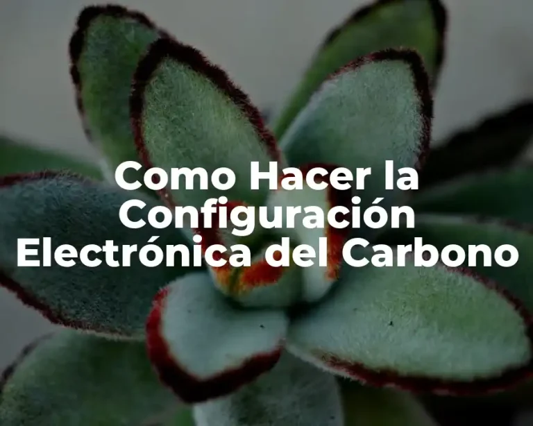 Como Hacer la Configuración Electrónica del Carbono