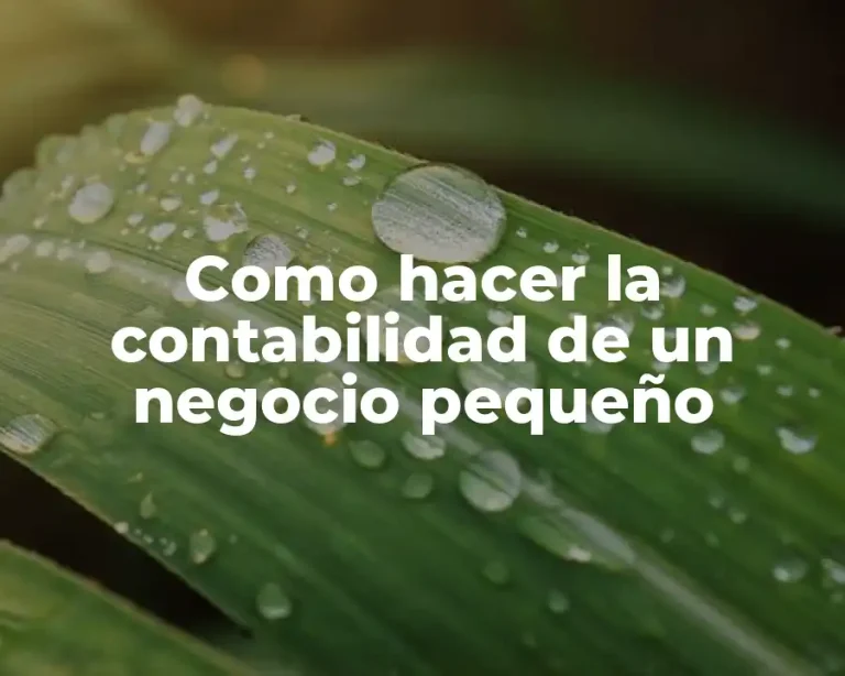 Como hacer la contabilidad de un negocio pequeño