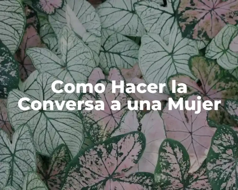 Como Hacer la Conversa a una Mujer