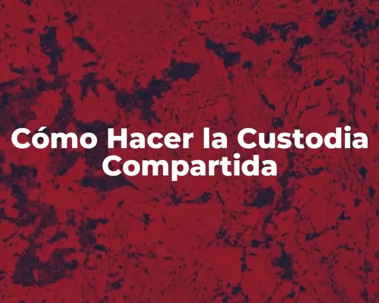 Cómo Hacer la Custodia Compartida