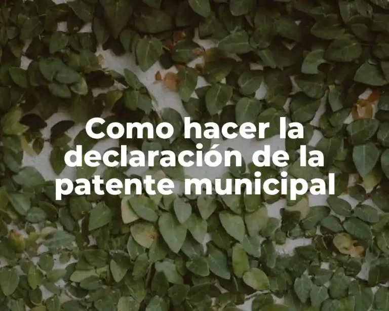 Como hacer la declaración de la patente municipal