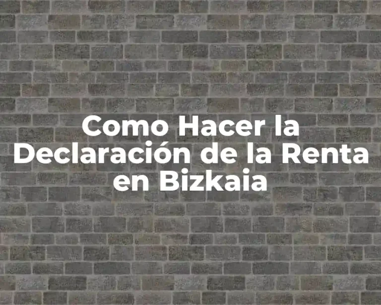 Como Hacer la Declaración de la Renta en Bizkaia