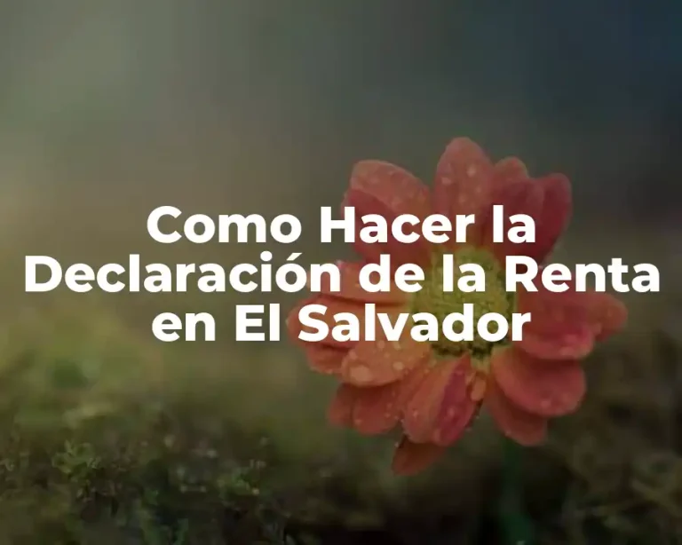 Como Hacer la Declaración de la Renta en El Salvador