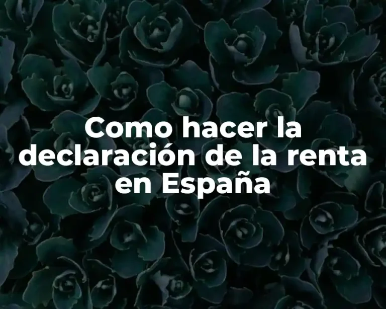 Como hacer la declaración de la renta en España