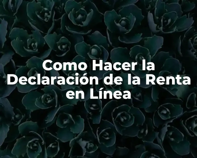 Como Hacer la Declaración de la Renta en Línea