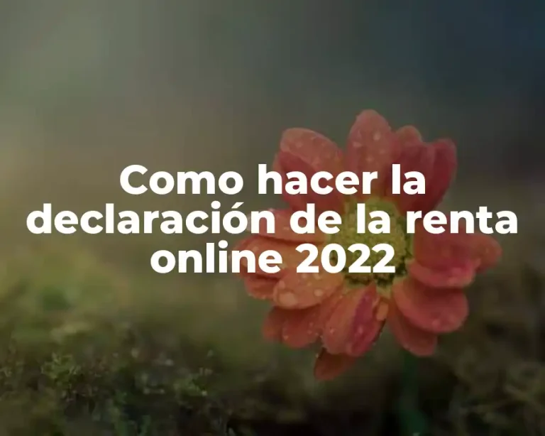 Como hacer la declaración de la renta online 2022