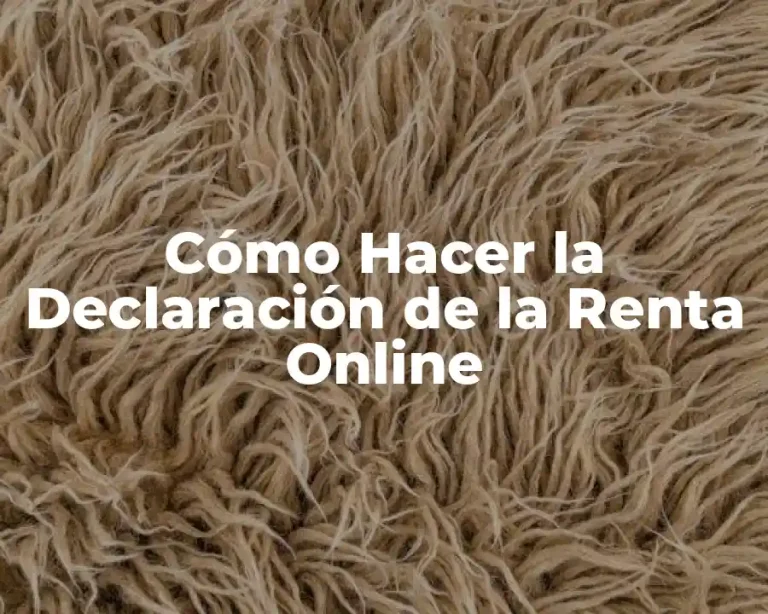 Cómo Hacer la Declaración de la Renta Online