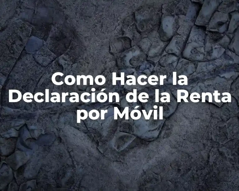 Como Hacer la Declaración de la Renta por Móvil