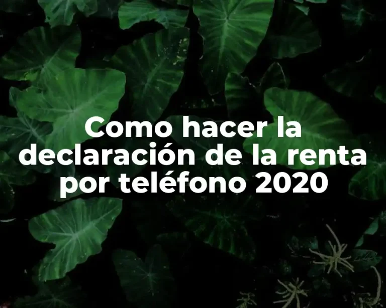 Como hacer la declaración de la renta por teléfono 2020