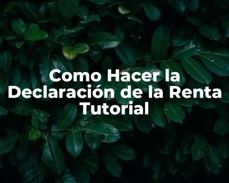 Como Hacer la Declaración de la Renta Tutorial