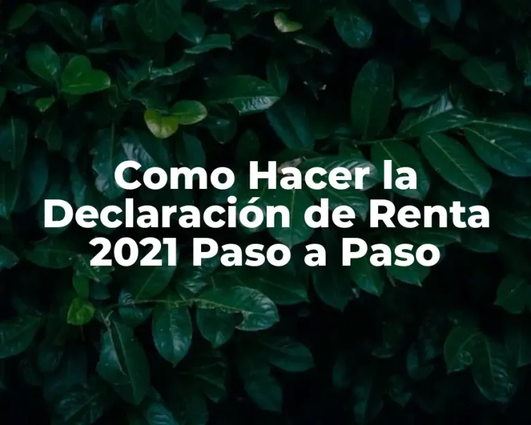 Como Hacer la Declaración de Renta 2021 Paso a Paso